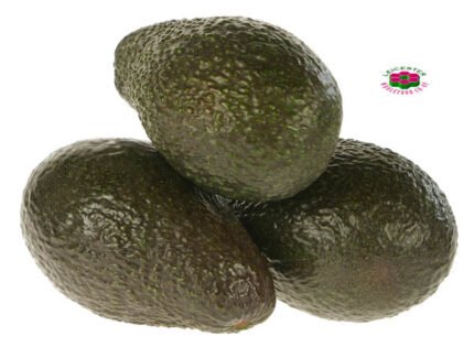 Organic AVOCADO