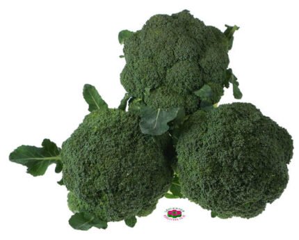 Organic BROCCOLI