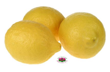 Organic LEMONS