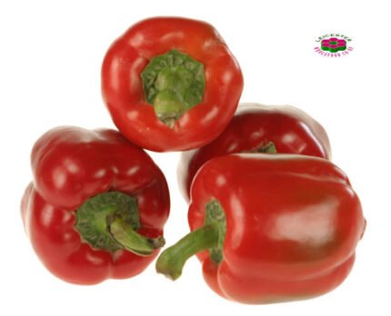 Organic PEPPER Red