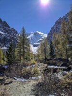 Mountain Shilajit Resin (10g, 40g, 250g) - Image 5