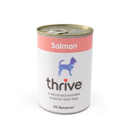 Salmon Complete Wet Dog Food
