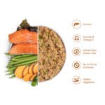 Salmon Complete Wet Dog Food - Image 4